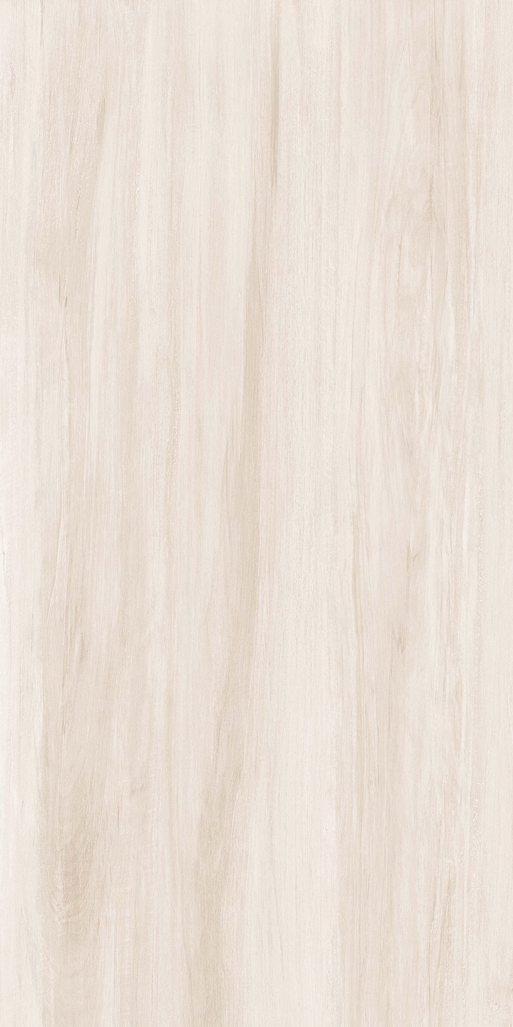 OFTD15010 薄暮森林